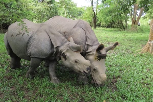 कोशी टप्पुमा रम्दै पुष्पा र अञ्जली