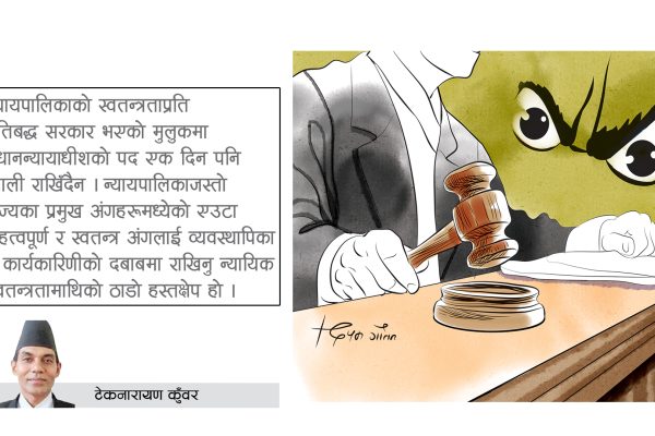 सरकारले किन गर्छ न्याय क्षेत्रमा हस्तक्षेप ?