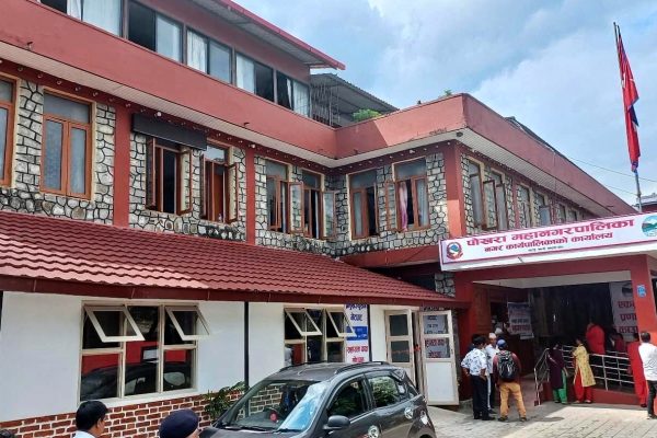 बाँदर नियन्त्रण गर्न रुख काट्ने उर्दीको चौतर्फी आलोचना, महानगरको पत्रपछि वडाध्यक्ष 'ब्याक'