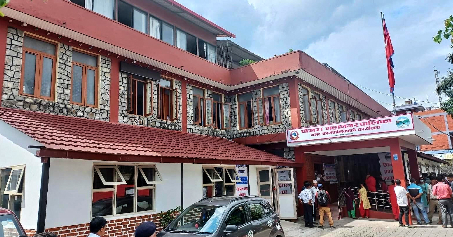 बाँदर नियन्त्रण गर्न रुख काट्ने उर्दीको चौतर्फी आलोचना, महानगरको पत्रपछि वडाध्यक्ष 'ब्याक'