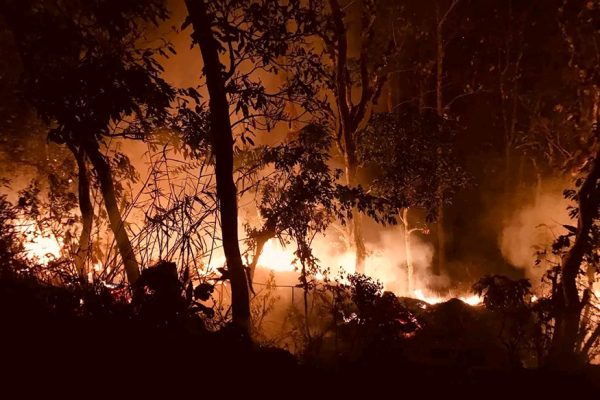 गुल्मीमा आगो लगाएको आरोपमा दुई जना पक्राउ