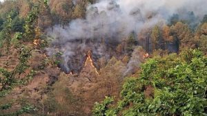 डढेलो निभाउँदा घाइते भएका दुवै जनाको मृत्यु