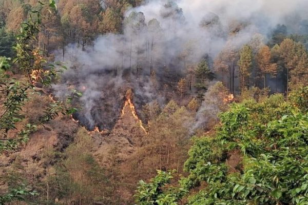 डढेलो निभाउँदा घाइते भएका दुवै जनाको मृत्यु