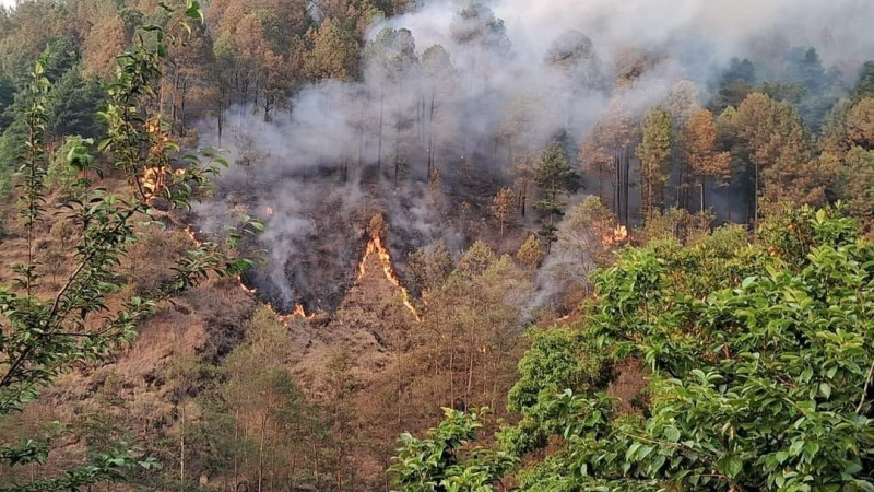डढेलो निभाउँदा घाइते भएका दुवै जनाको मृत्यु