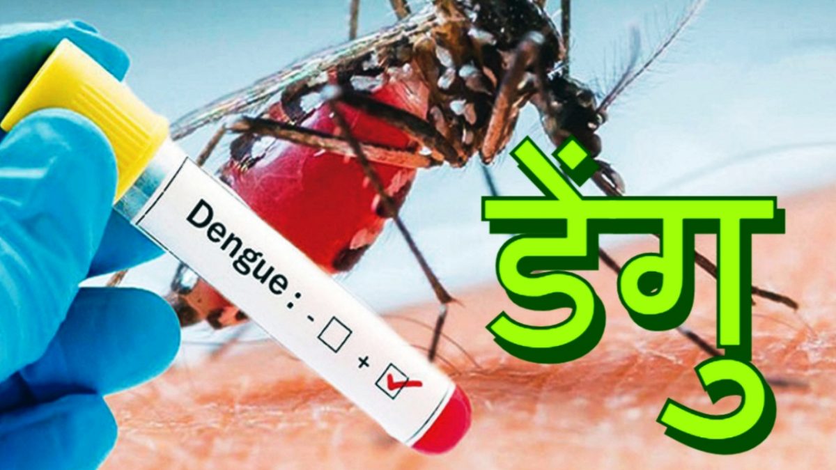 काठमाडौंमा डेङ्गी सङ्क्रमण बढ्यो ,कसरी बच्ने र बचाउने डेङ्गीबाट ? उपाय जान्नुस !!