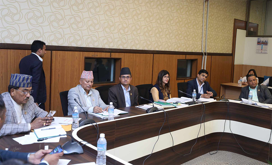 संसदीय विशेष समितिमा सहकारी छानबिनमा प्रदेशको क्षेत्राधिकारबारे प्रश्न