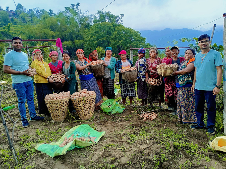 बेलढुङ्गा कृषि फार्मको उत्पादन,आलुलाई ‘ब्राण्डिङ’ गरेर बजार पठाइँदै