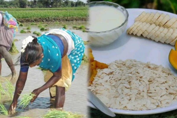 नेपाली संस्कृतिको एकता र प्रगति : असार १५