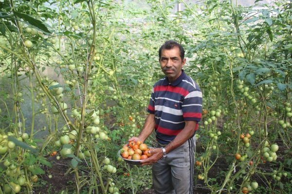 कृषि उपजलाई बजार अभाव