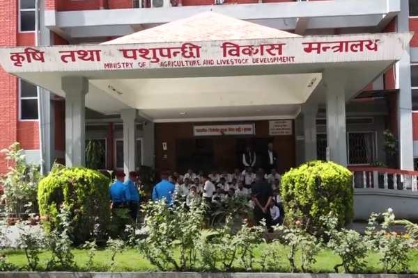 कर्मचारीहरूको