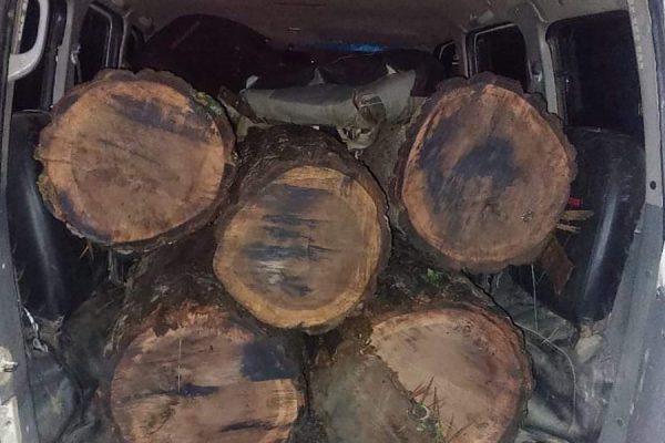 चन्द्रनिाहपुरमा स्कार्पियो गाडीसहित अवैध काठ बरामद