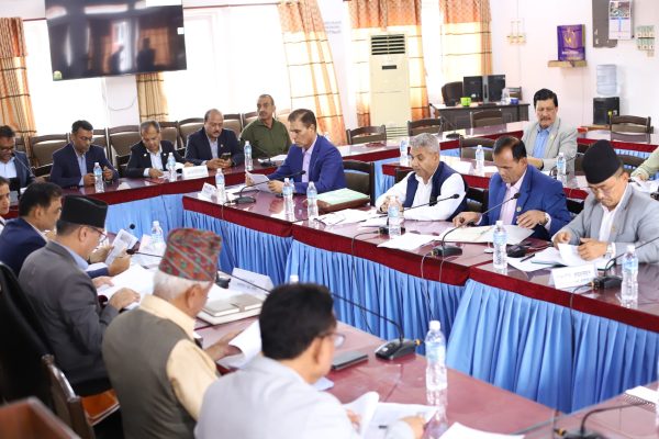 टिओडी मिटरको विवरण उपलब्ध गराउन संसदीय समितिको निर्देशन