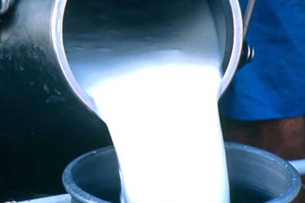 दूध बेचेर मासिक लाख आम्दानी