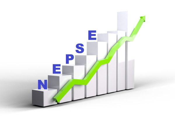 नेप्सेमा १०८ अङ्कको वृद्धि