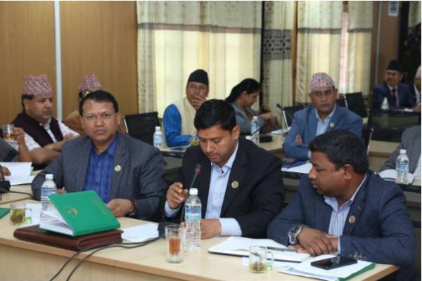 संघीय संसदका चारवटा संसदीय