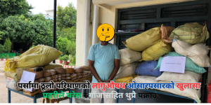 पर्सामा ठूलो परिमाणको लागुऔषध ओसारपसारको खुलासा, प्रहरीले चरेस र गाँजासहित थुप्रै पक्राउ