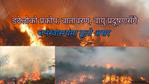 नेपालमा डढेलोको जोखिम: कारण, प्रभाव र नियन्त्रणका उपाय
