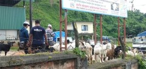 धरान कृषि उपज बजारस्थल: पूर्वी नेपालका प्रमुख कृषि केन्द्रको रूपमा विकसीत हुँदै