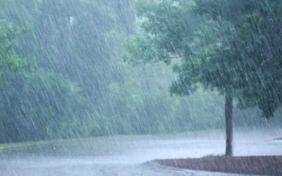 देशभरि मौसम बदली, उच्च पहाडी क्षेत्रमा हल्का हिमपातको सम्भावना