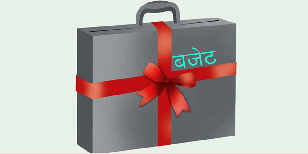 मधेश प्रदेश सरकारको बजेटमा त्रुटि : छानबिनका लागि ६ सदस्यीय कार्यदल गठन