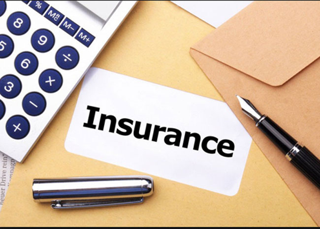 रसुवा बाढी क्षतिको बीमा दाबी २९ करोड