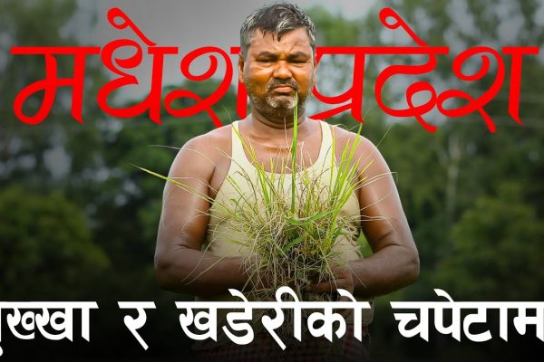 खडेरीको चपेटामा मधेश : धान सुक्दै, जमिन चिरिँदै, सरकार संकटग्रस्त घोषणा गर्दै
