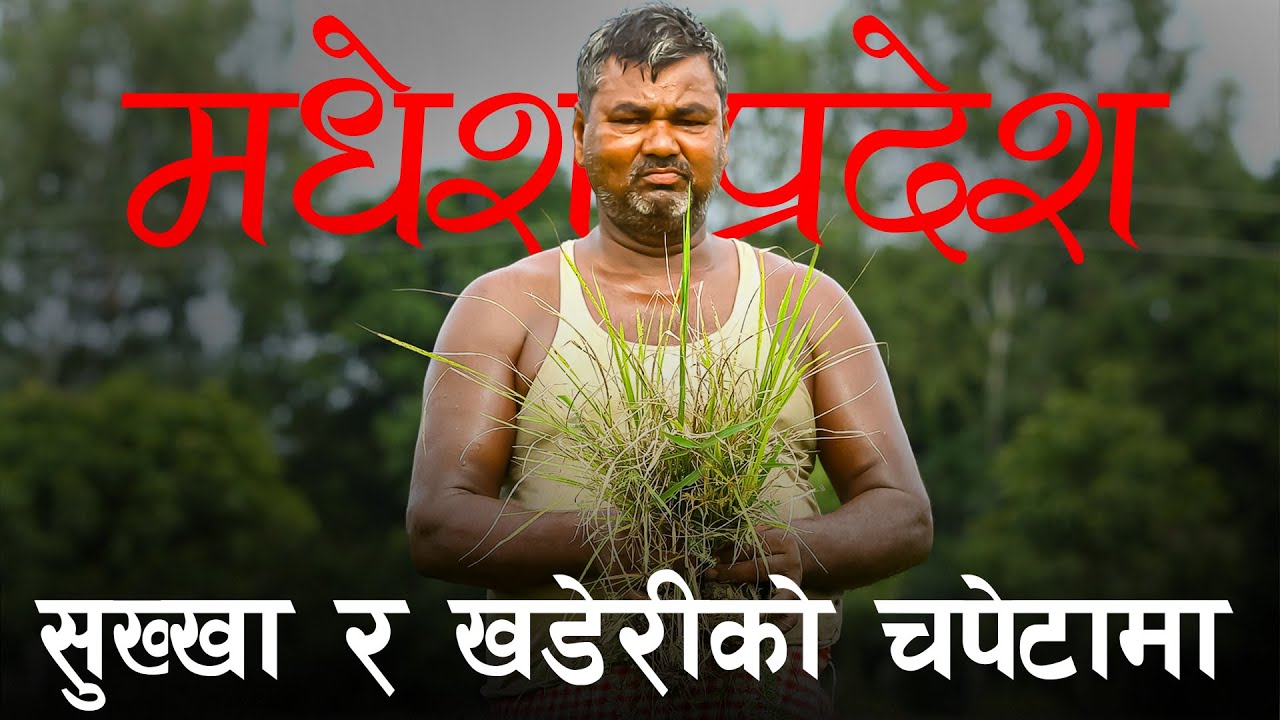 खडेरीको चपेटामा मधेश : धान सुक्दै, जमिन चिरिँदै, सरकार संकटग्रस्त घोषणा गर्दै